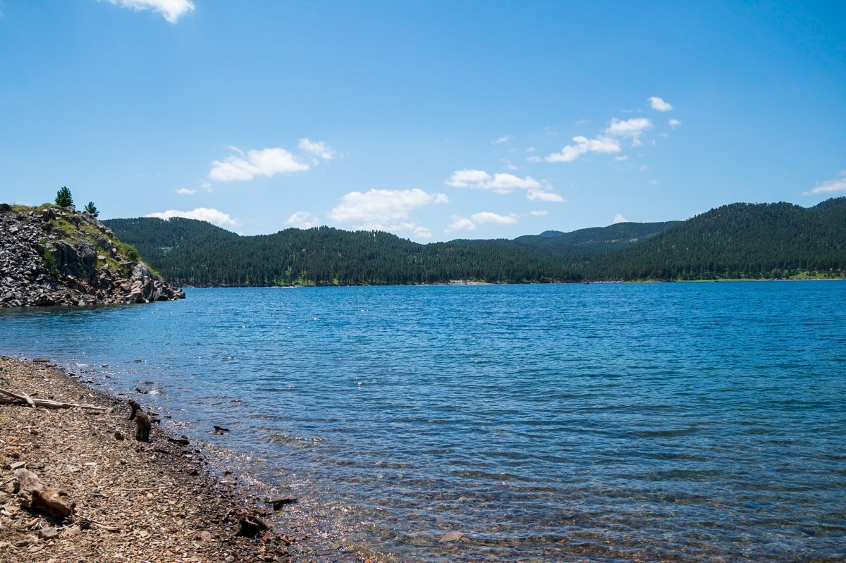 Day 3 Gratitude&nbsp;Challenge