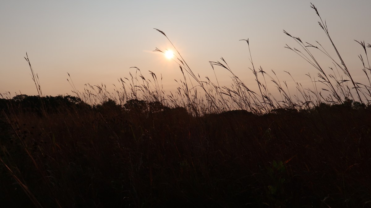 Day 25 Gratitude&nbsp;Challenge