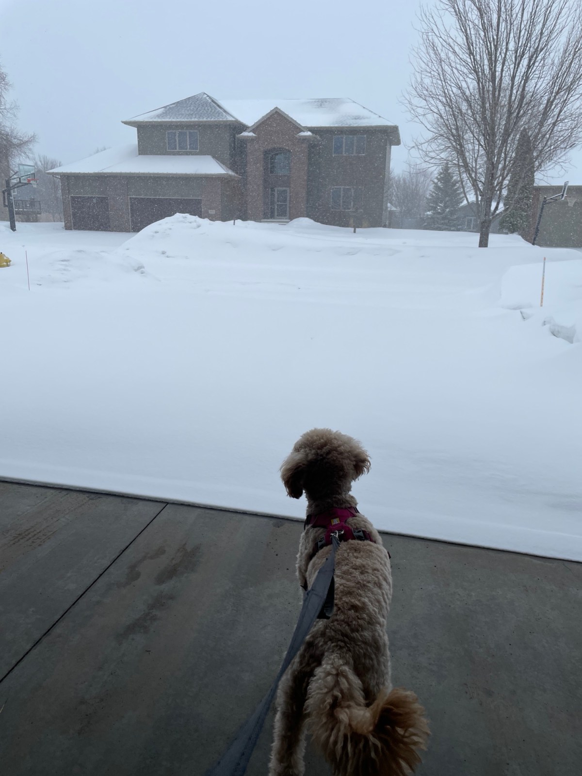 Mother Nature’s Sense of&nbsp;Humor