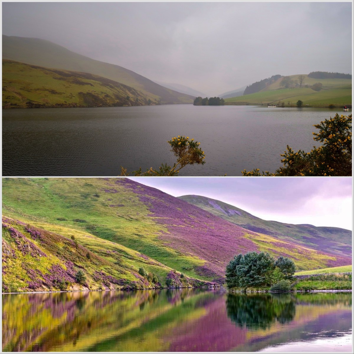 Day 12 Beautiful&nbsp;Things