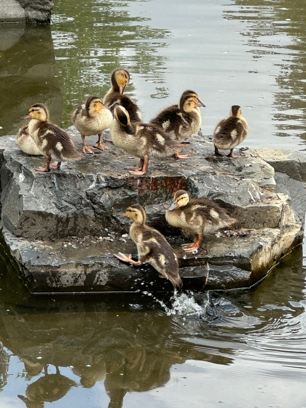 Certainly Beautiful Day&nbsp;1