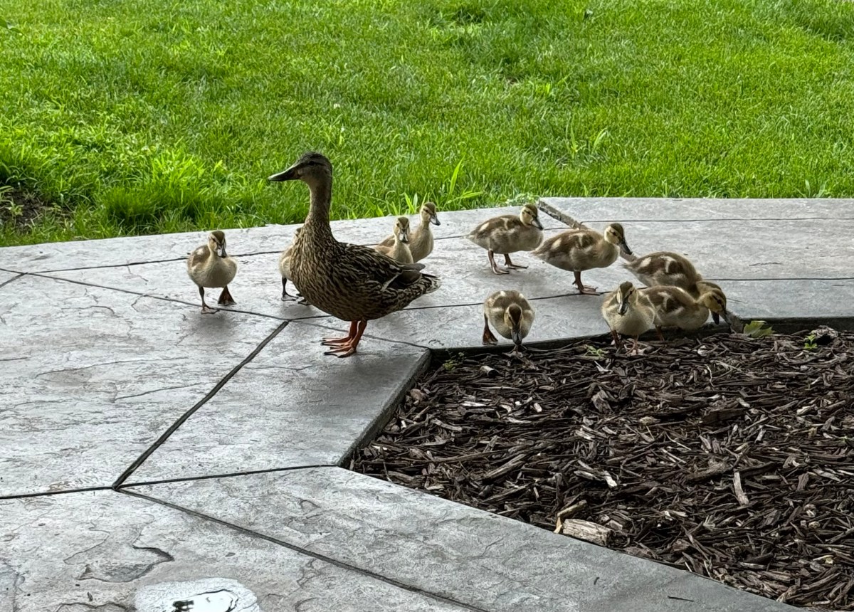 Day 2 Beautiful&nbsp;Things