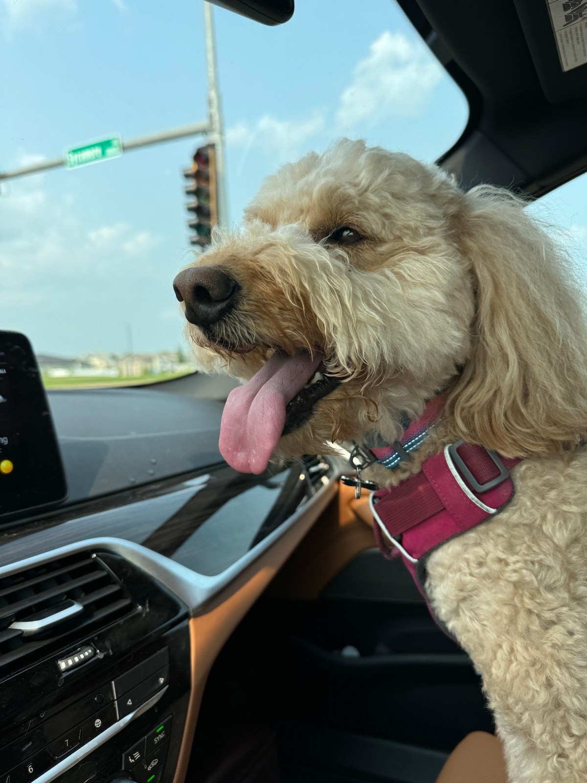 Day 4 Beautiful&nbsp;Things