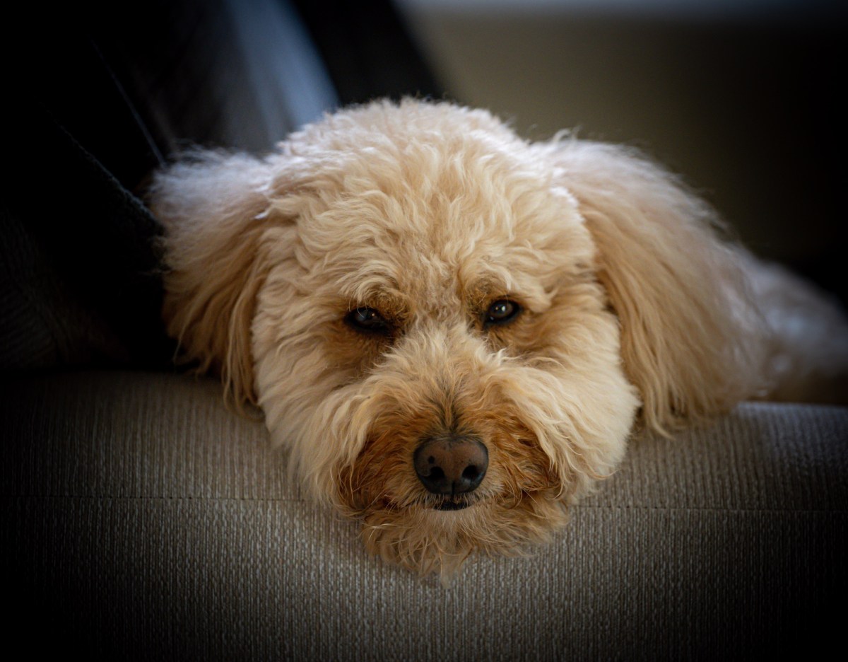 Day 21 Beautiful&nbsp;Things