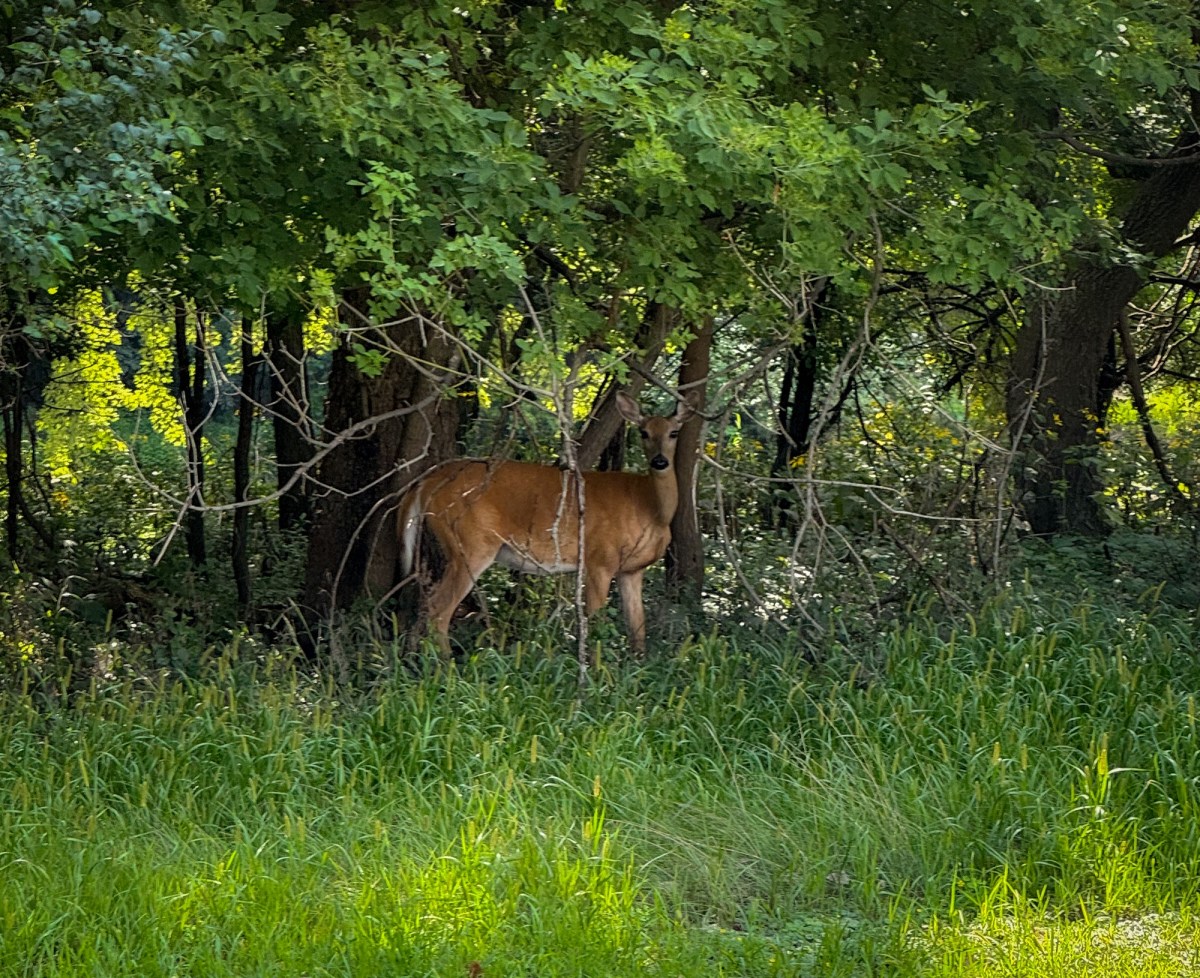 Day 30 Final Day of Beautiful&nbsp;Things