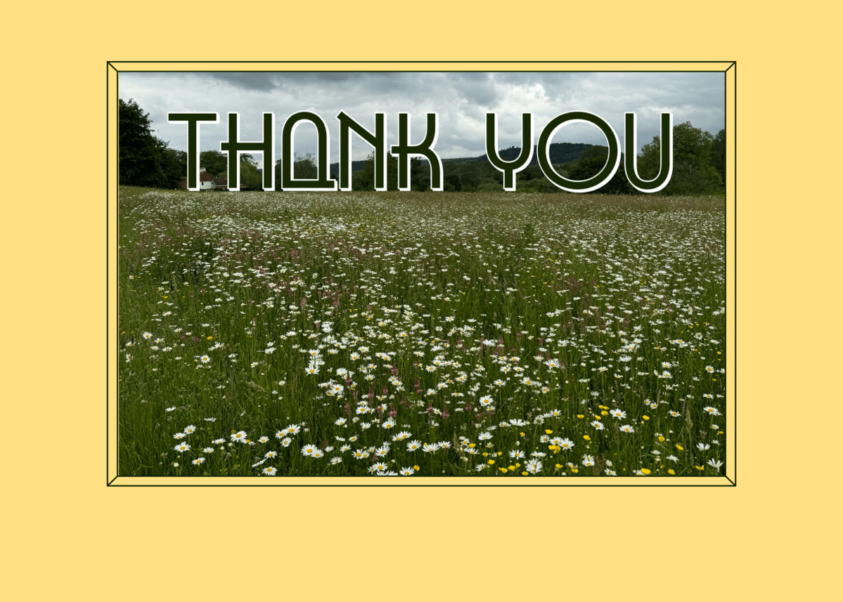 Day 6 – 2024 Gratitude&nbsp;Challenge