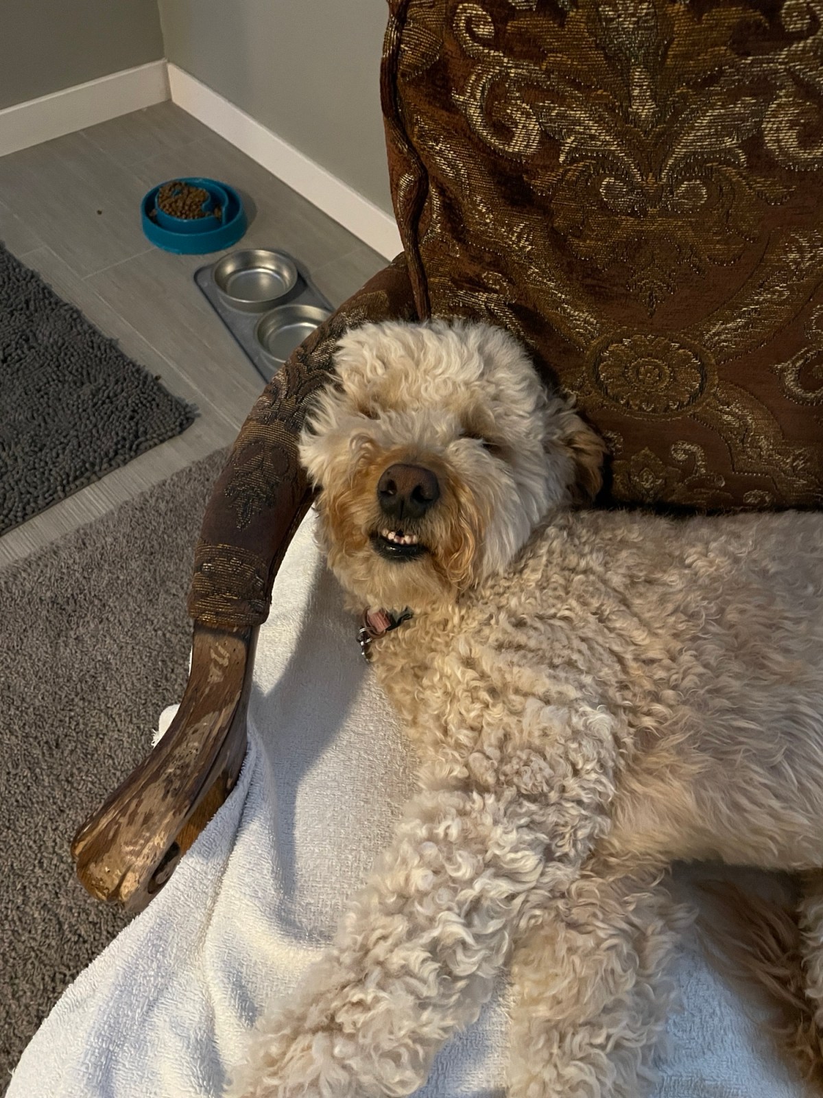 Day 8 – Gratitude&nbsp;Challenge