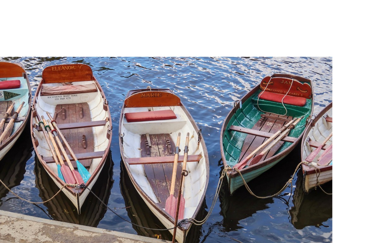 2024 Gratitude Challenge – Day&nbsp;5