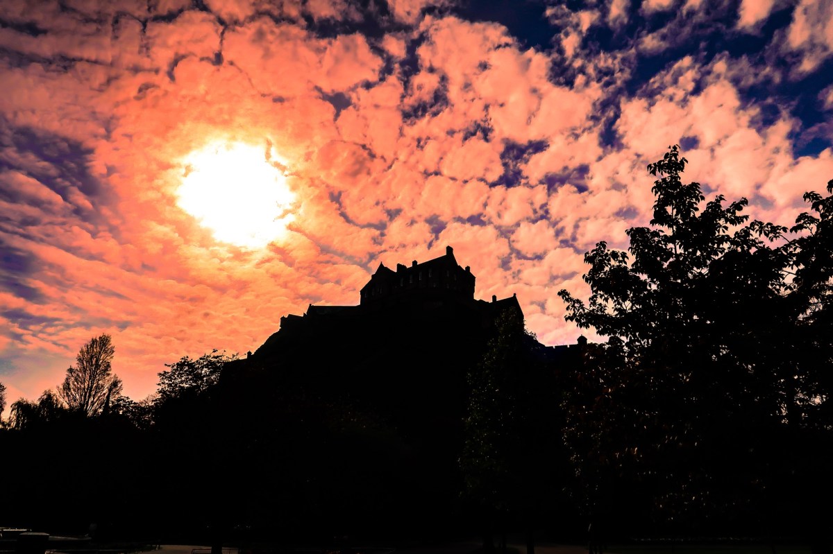 Day 21 Gratitude&nbsp;Challenge