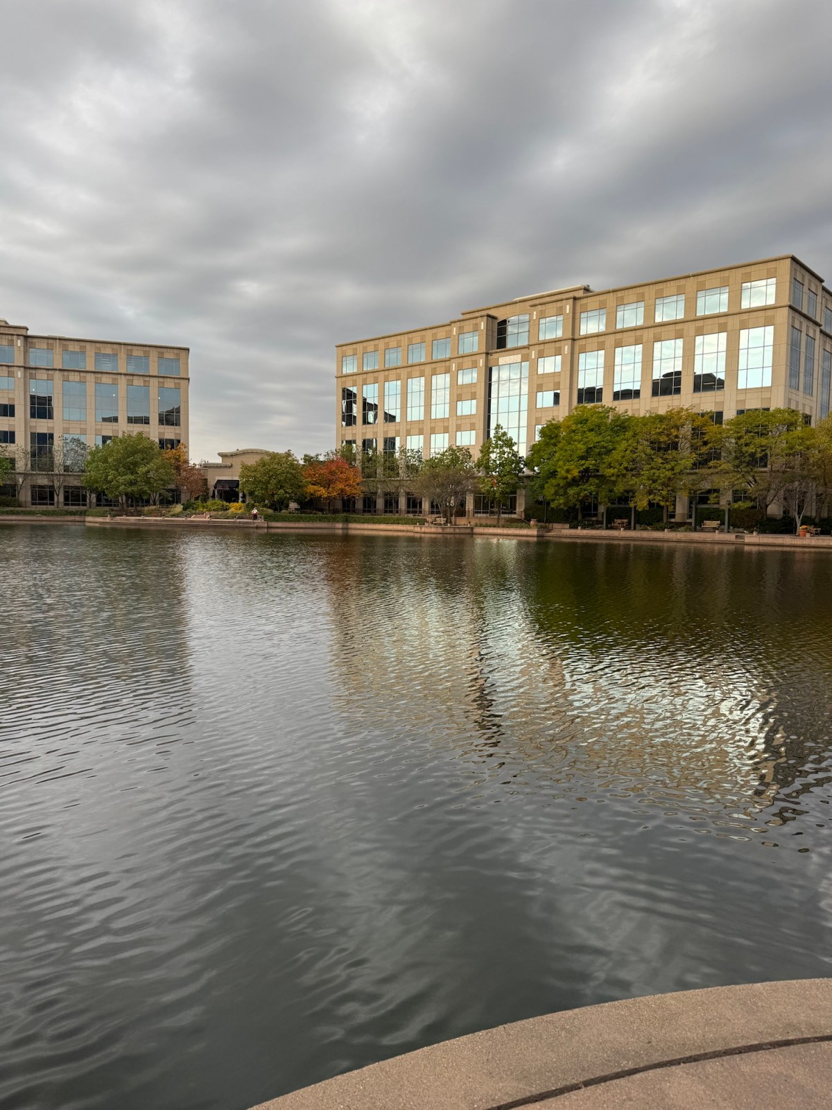 Day 13 – 2024 Gratitude&nbsp;Challenge