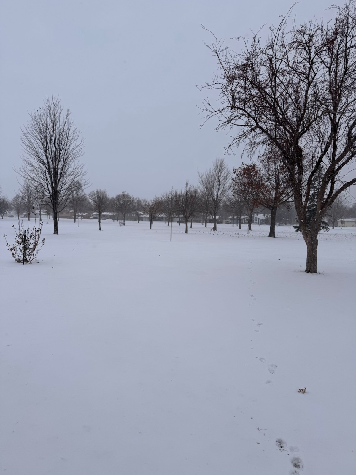 Gratitude Challenge 2025&nbsp;Style