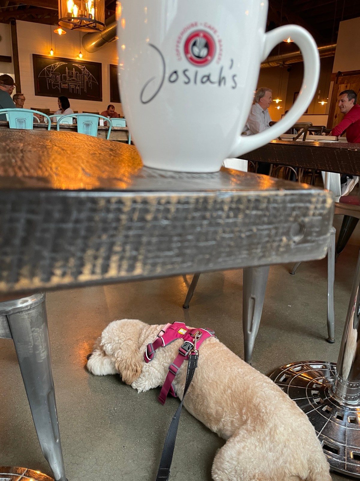 Office Hours at Josiah’s: Do You Remember&nbsp;Me?