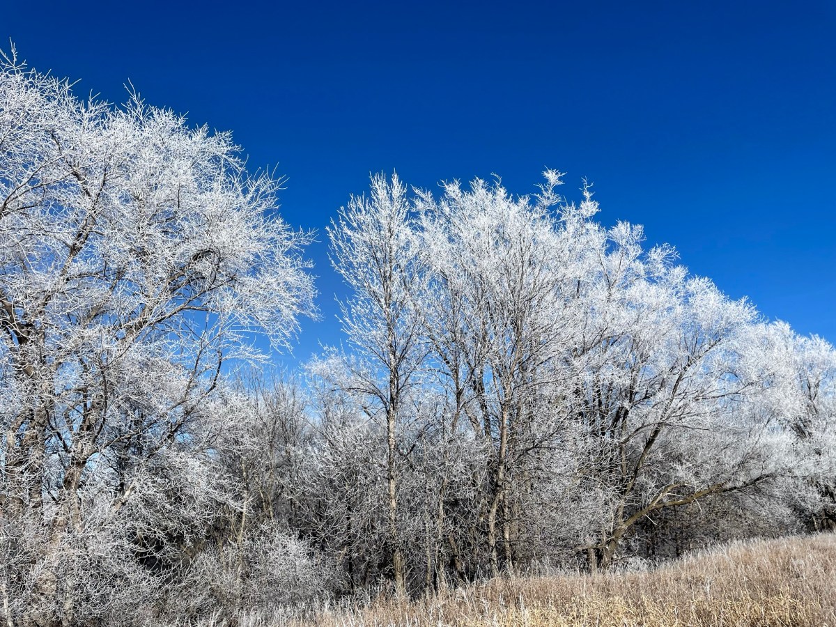 The Stories That&nbsp;Remain