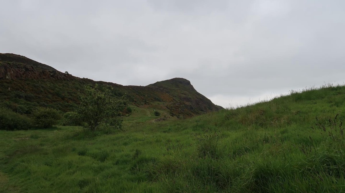 Six Years. Nearly 30 Million Steps. My Dog Is&nbsp;Thrilled.