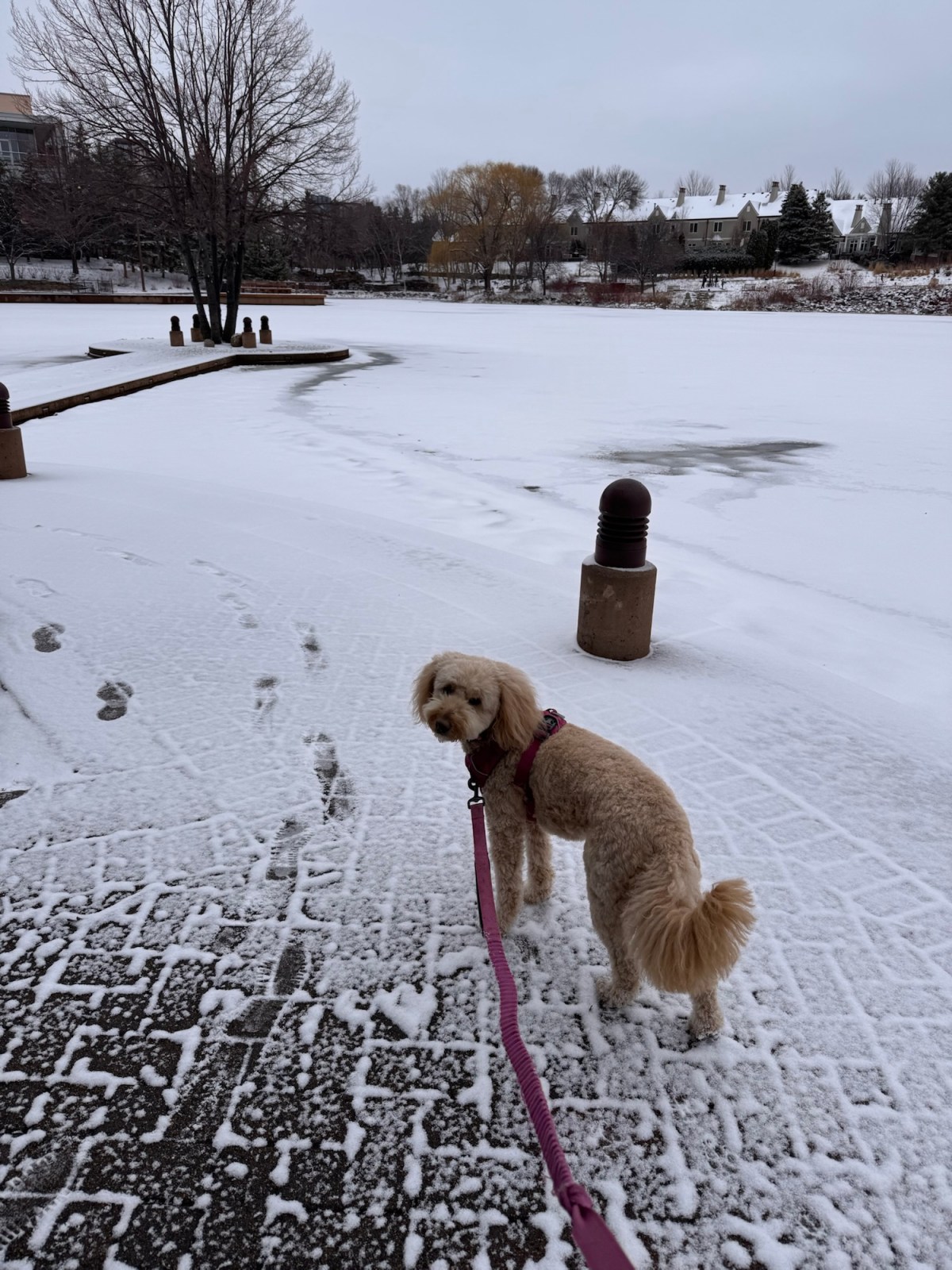 The next 30 million&nbsp;steps